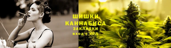 ГАЛЛЮЦИНОГЕННЫЕ ГРИБЫ Переславль-Залесский