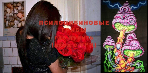 ALPHA PVP Медвежьегорск