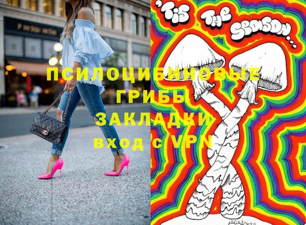 ГАЛЛЮЦИНОГЕННЫЕ ГРИБЫ Переславль-Залесский