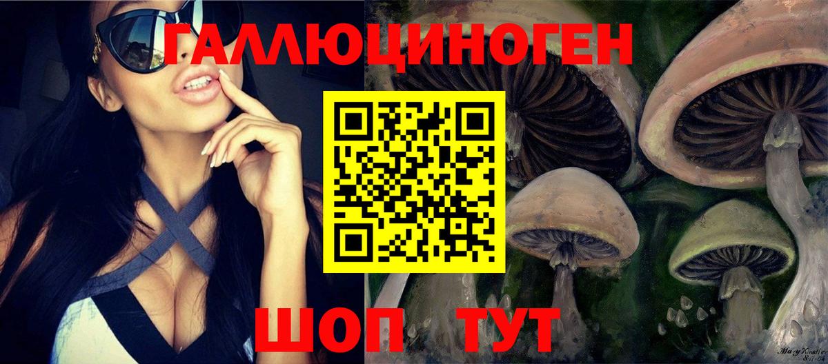 Среднеуральск  Галлюциногенные грибы MAGIC MUSHROOMS  Вход с VPN 